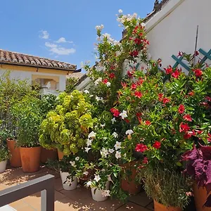 https://apartamentos-los-descalzos-angel.es-andalucia.com